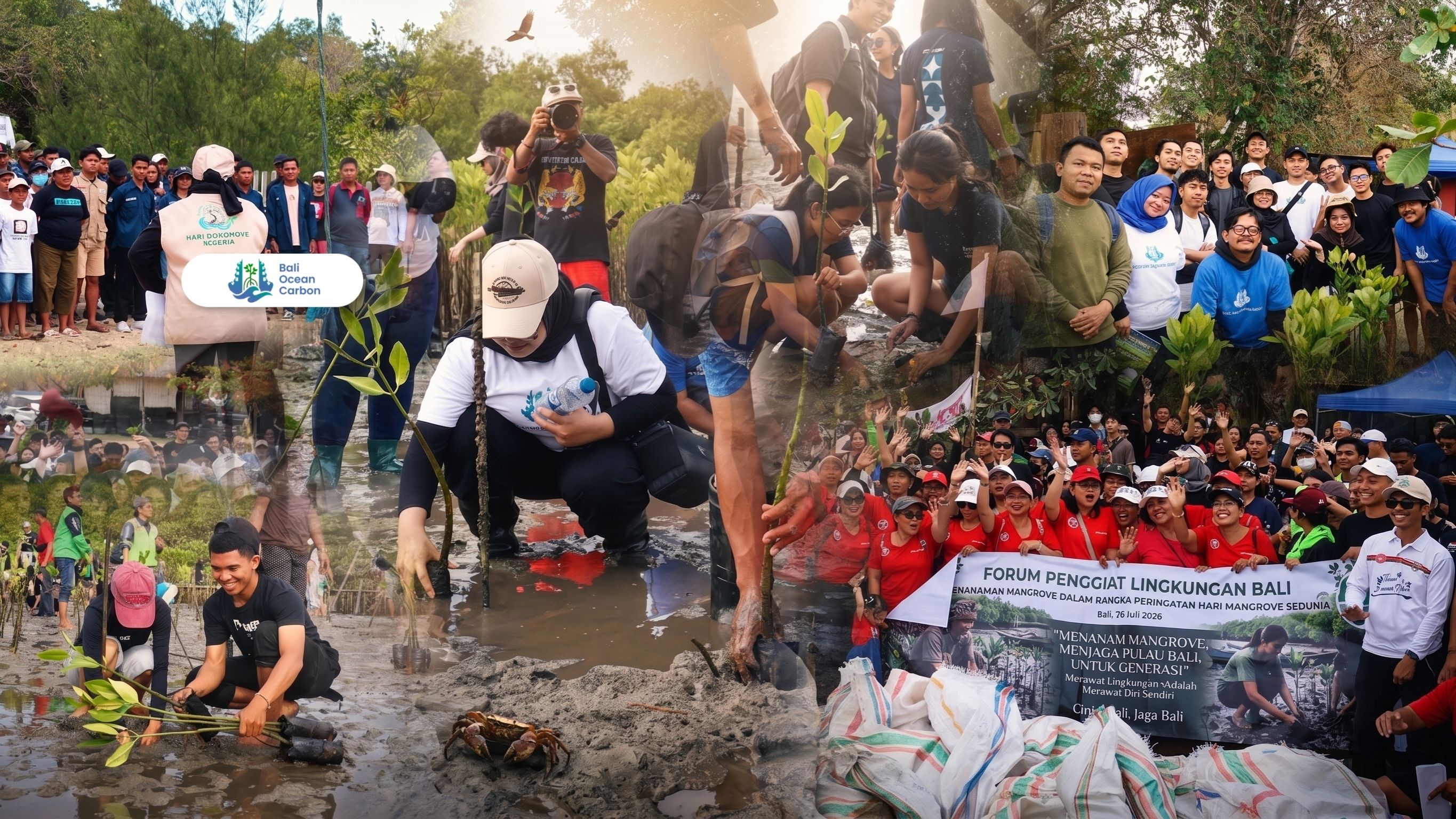 Bali Ocean Carbon Successfully Planted 1,500 Saplings in Tanjung Benoa