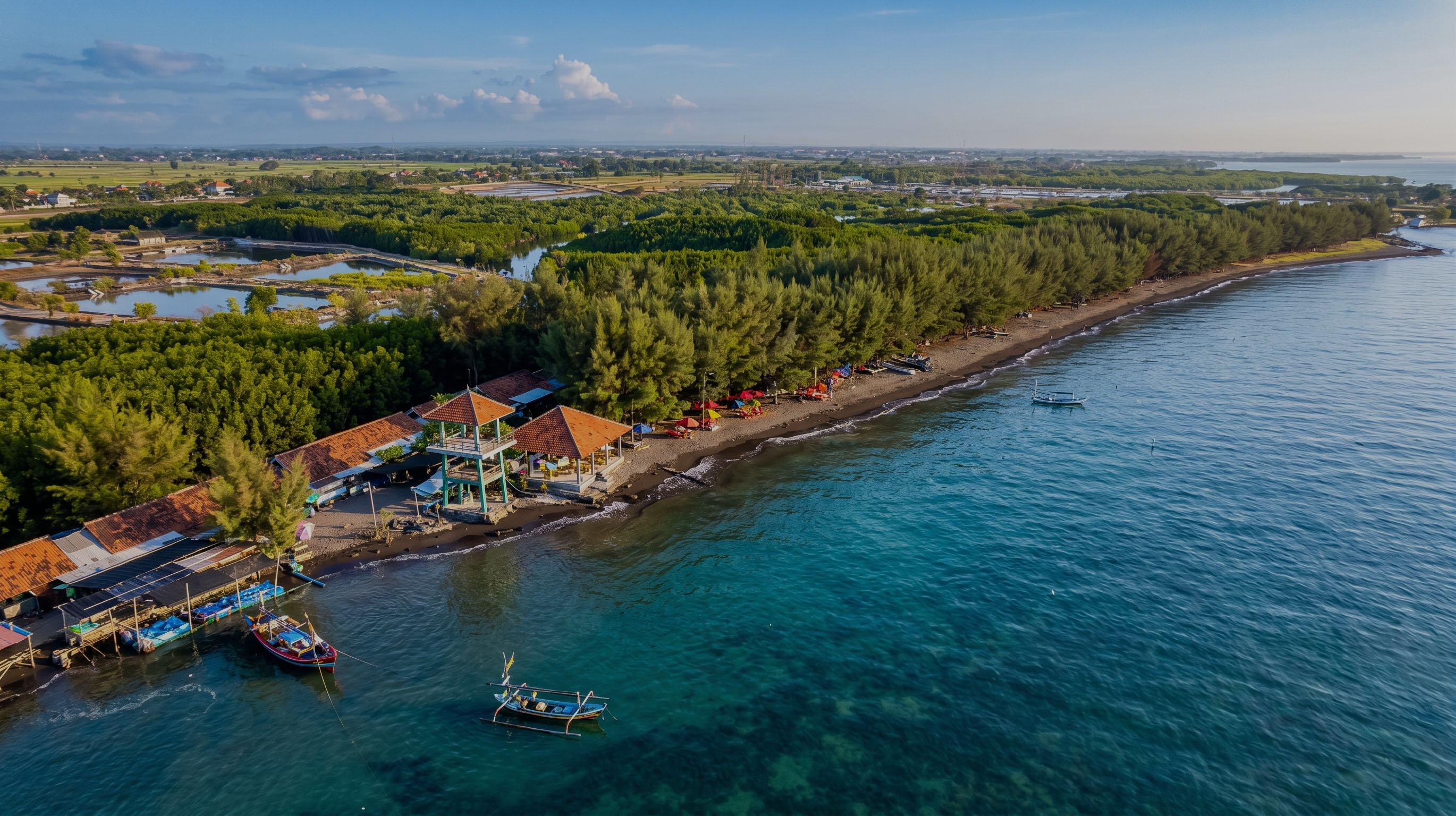 Blue Carbon Potential Along Bali’s Coastline